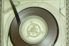guscio-mastro8-01l